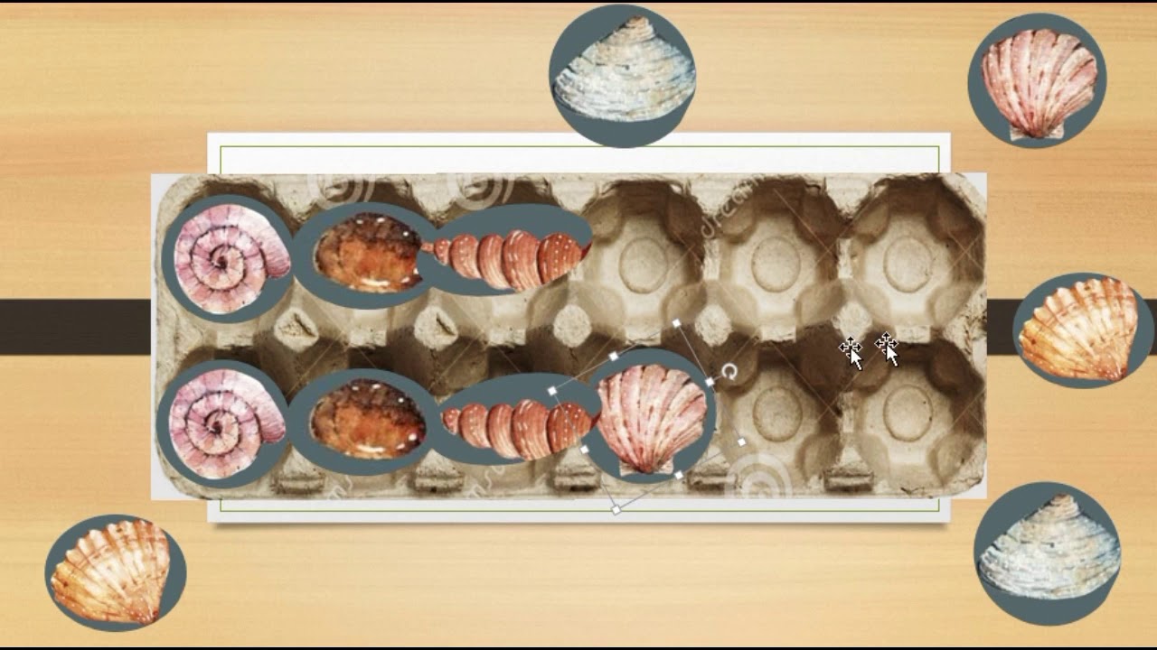 Shell Match Memory Game VISUAL PERCEPTIONS ACTIVITY SHELLS MATCHING GAME - YouTube