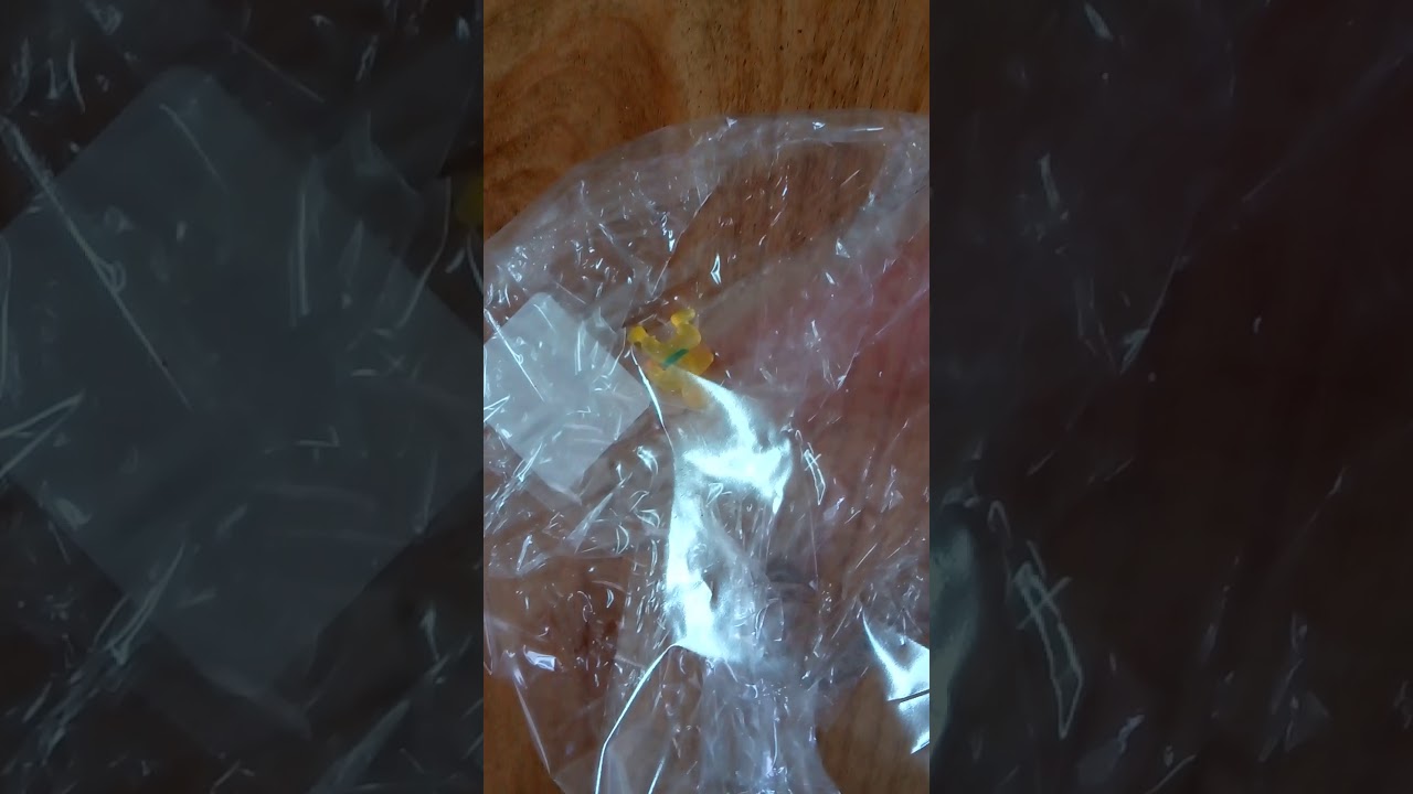 19 year old man and the plastic realm