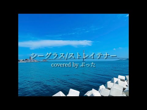 【カバー】シーグラス/ストレイテナー【covered by ぷった】