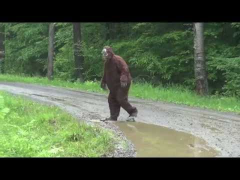 BIGFOOT CAUGHT ON TAPE - THE BEST VIDEO EVIDENCE EVER