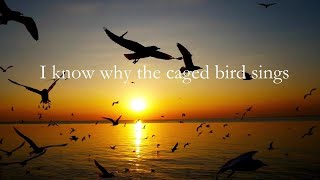 I Know Why the Caged Bird Sings by Maya Angelou screenshot 4