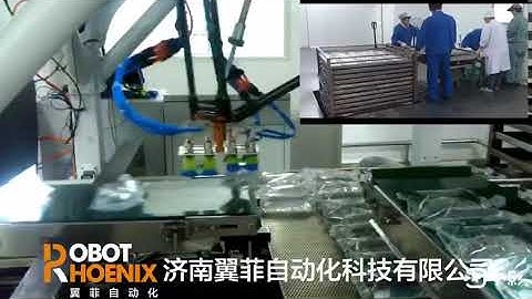 Delta robot infusion bags sorting system. RobotPhoenix BAT-1300A delta robot. 140ppm.