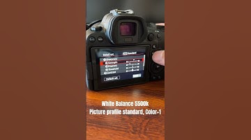 Canon R6ii Picture Profile Setting for My Portraits Photoshoot