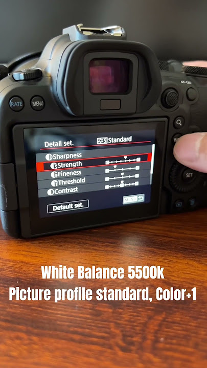 Canon R6ii Picture Profile Setting for My Portraits Photoshoot