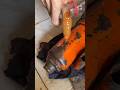 😱 New Technology: Fix Hydraulic Jack Like a Pro #Workistani