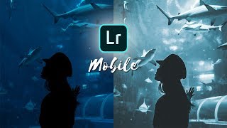 How to Edit Moody Blue Photos for Instagram | Lightroom Mobile Tutorial screenshot 2