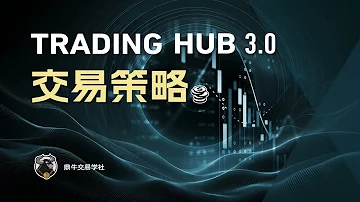 Trading Hub 3 0中文讲解课 交易入场策略 SMC聪明钱訂單流 ICT 
