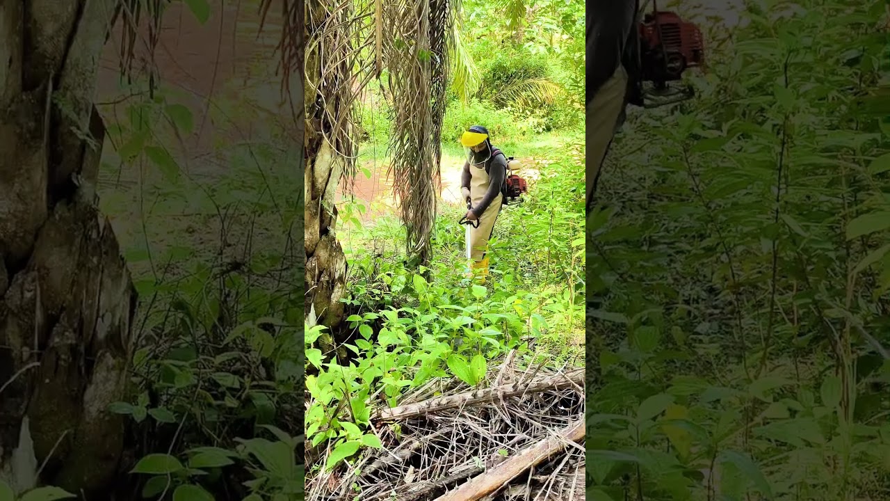 LINK PEMBELIAN DI RUANG KOMEN OGAWA BG430 