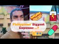 Which is the most expensive in the Philippines: electricity, food, rent, or medicine?