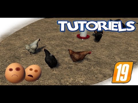 Farming Simulator 19 Tout Ce Quil Faut Savoir Sur Le Nouvel Opus