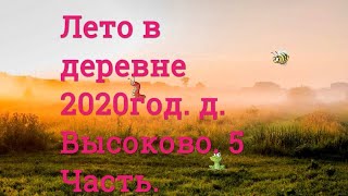 Свобода + натура. Лето в деревне. 2020г. 5 Часть. Кологривский р-он. д. Высоково. Костромской обл.