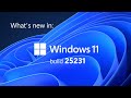 What's new in Windows 11 Insider build 25231