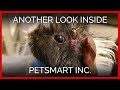 Another Look Inside PetSmart, Inc.: A PETA Eyewitness Exposé