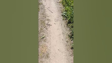 #shorts #sports #new #2024 #content