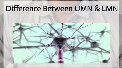 Difference Between Upper Motor Neuron (UMN) and Lower Motor Neuron (LMN) #UMN&LMN #Neurons #trending