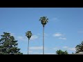 2 50pm May 6 2026 Mostly Sunny NNE Light Wind Then Shift WSW Light Winds Air Column Pass 