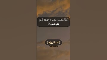 سورة القصص الآية ١ الى ٤ بصوت الشيخ محمد صديق المنشاوي