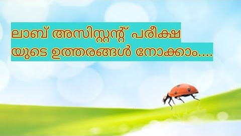 Lab assistant exam Solved question paper 28 July 2018