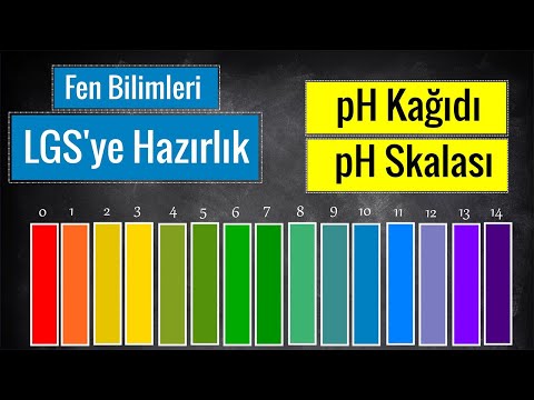 Asitler ve Bazlar☆pH Kağıdı ve pH Renk Skalası☆