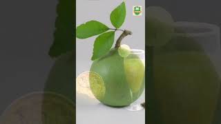 বেল খাওয়ার অবিশ্বাস্য উপকারিতা | Wood Apple Benefits in Bengali | স্বাস্থ্য টিপস