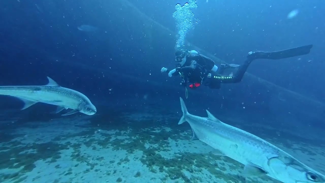 ⁣Bonaire April 2026