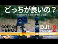 【GOPRO9 VS DJI POCKET2】どちらのカメラが良いのか比較してみた。【 BMW S1000R motovlog / モトブログ 】