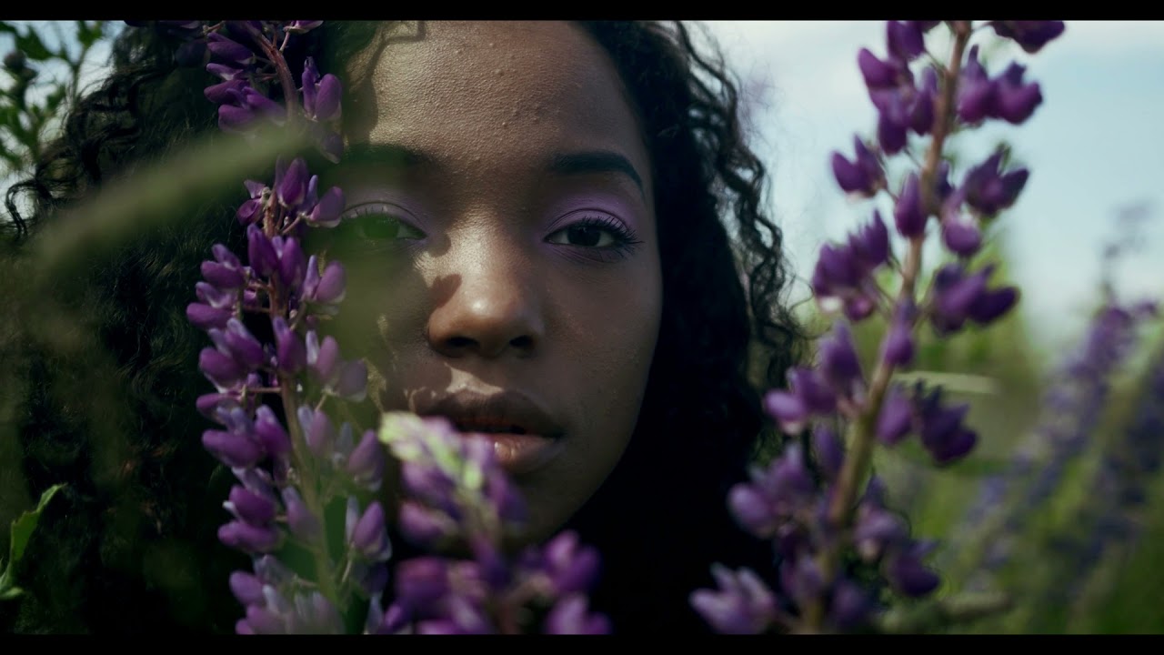 Velvet Lounge Project Summer of tomorrow YouTube