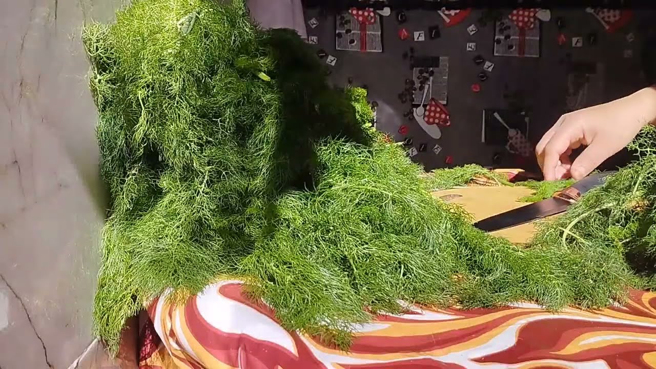 خيرات بلادي👌 خبيزة والبسباس من الفدان لدار 🌳🌱🍀