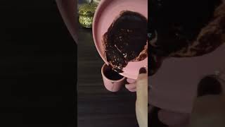 Yay Burcu Kahve Fali Ve Tarot Bi̇r Yildiz Gi̇bi̇ Parliyorsun