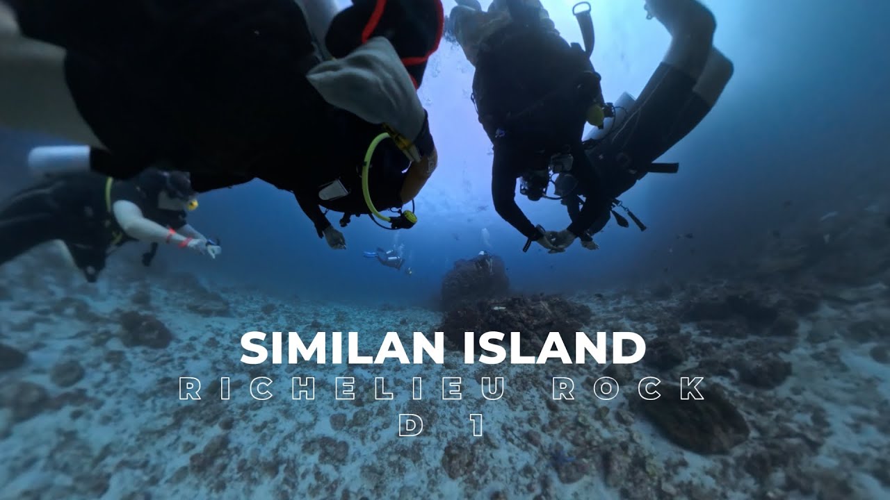 Similan islands group Dan  9 dive richelieu rock 1