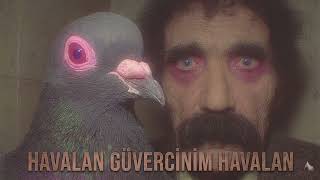 Havalan Güvercinim Havalan Protest Rock
