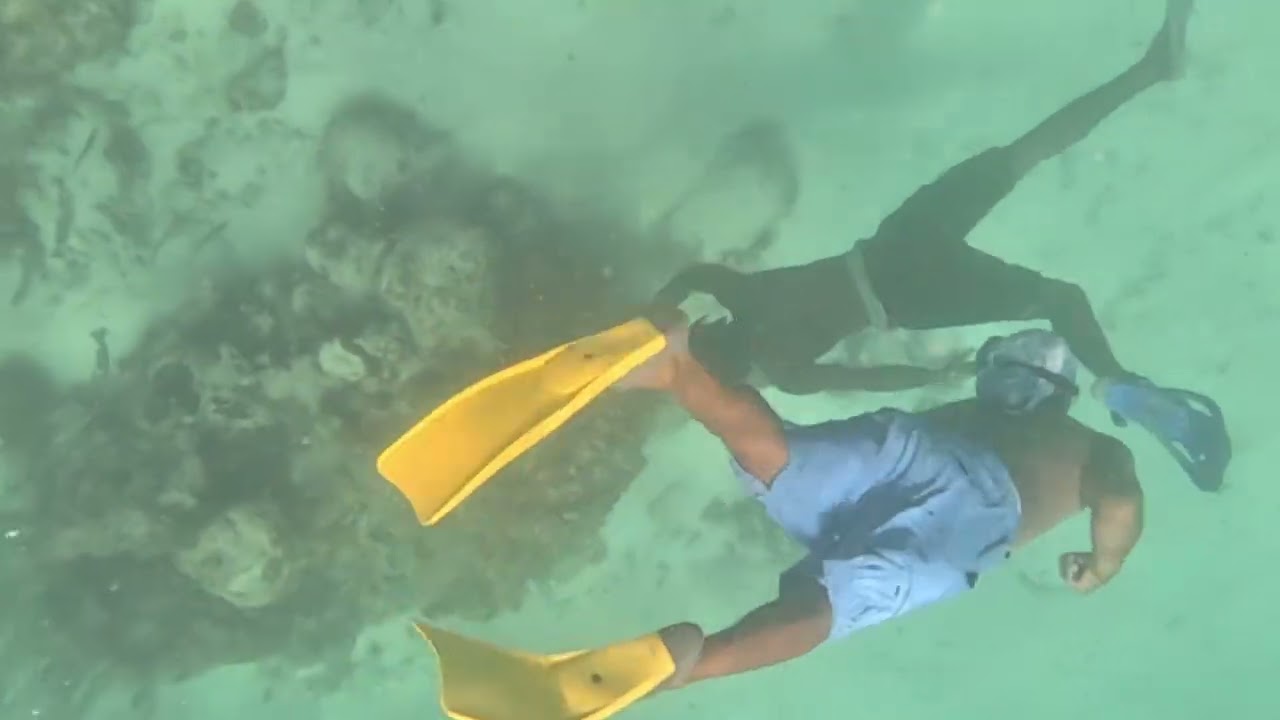 Schnorcheln im Korallenriff