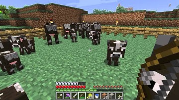 Minecraft 1.3.1 Exploit - Breeding "Twins?!" (Annotated)