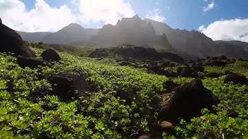 تلاوة ذهبية من سورة الحجر للشيخ أحمد العجمي