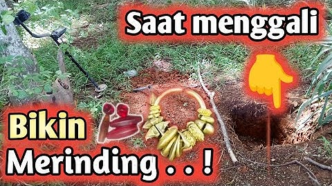 penemuan harta Karun peninggalan kerajaan @Metaldetectorlampung