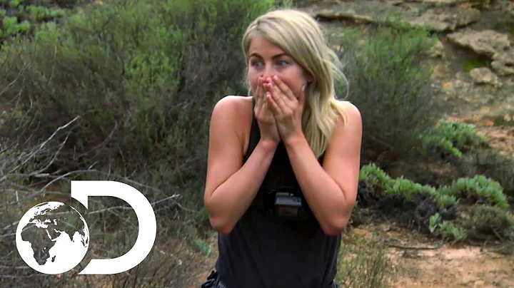 Snake On The Menu for Julianne Hough | Running Wil...