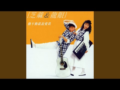 芝麻 & 龍眼 - 動不動就說愛我