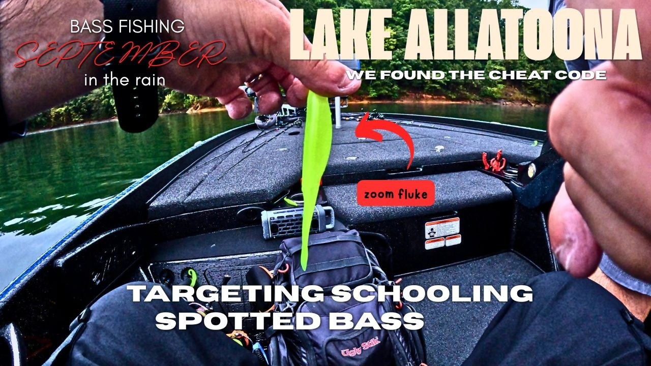 Fishing Zoom Super Fluke in the Rain Lake Allatoona (Tournament day)