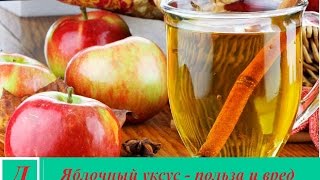 Яблочный уксус - польза и вред