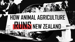 How Animal Agriculture Runs New Zealand