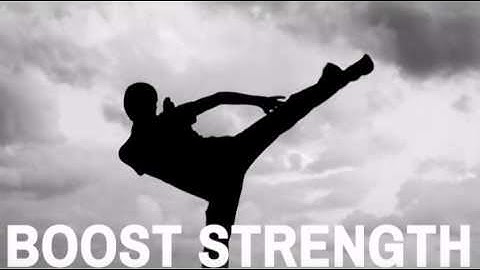 Baguazhang: Theory and Applications - MAEQD.com