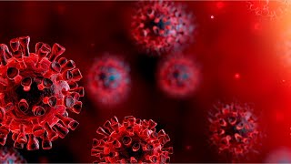 Swiss Coronavirus Cases Rise To Six