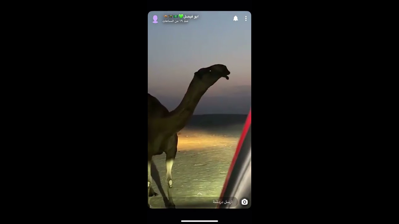 سنابات ابو فيصلل