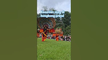 hongkong terasa ponorogo #reog #reogponorogo #singowiromo #hongkong #trend #fyp #shorts #short #fyp