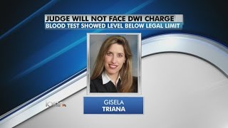 No DWI charges to be filed against Travis County judge