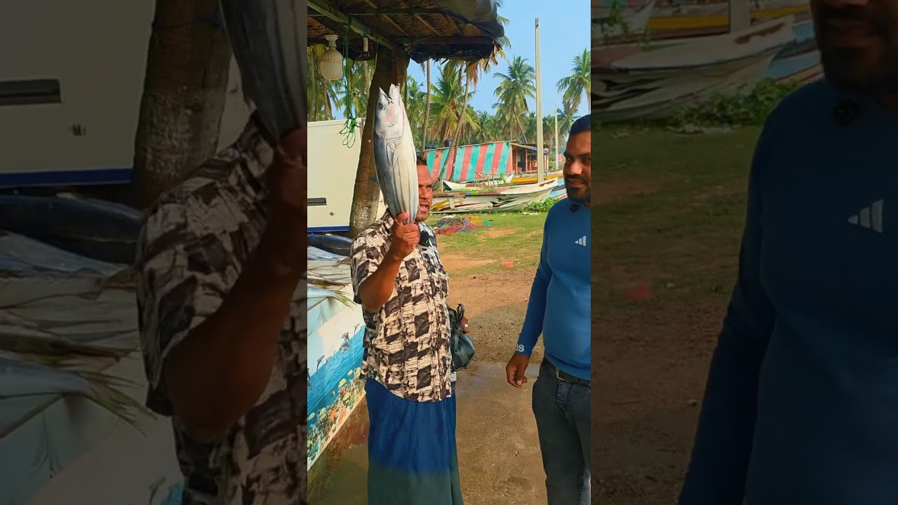 28-02-2026 காலை#மருதமுனை SFK 