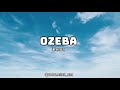 Rema Ozeba Lyrics