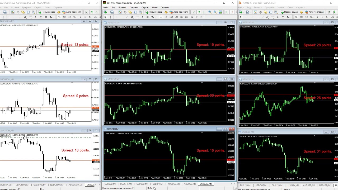 домашнее задание в трейдинге. трейдинг от а до я. гранд капитал. сделки по герчику. курс активного трейдера.