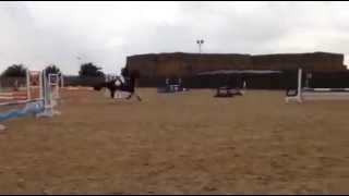 85cm Onley grounds, Indi 3rd place