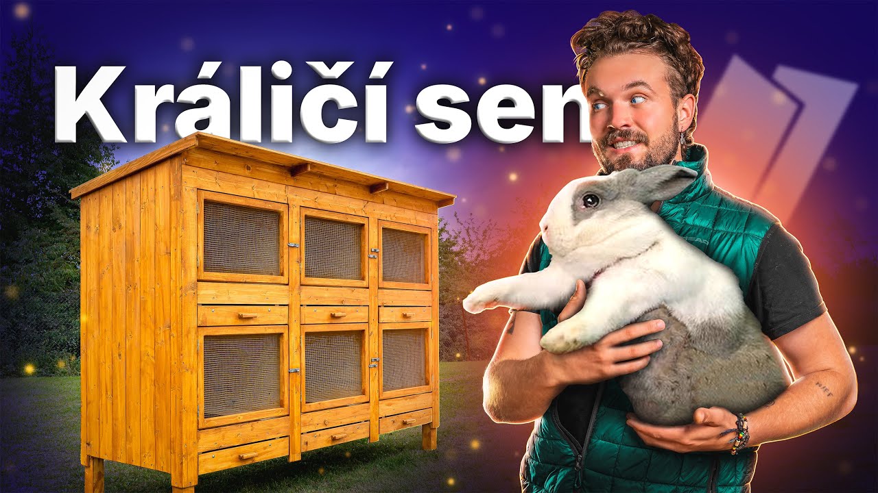 KRÁLÍKÁRNA vytvořená ČESKÝMI CHOVATELI 🇨🇿 Daisy od České Manufaktury